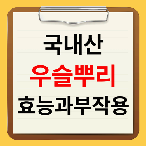 국내산 우슬뿌리 효능