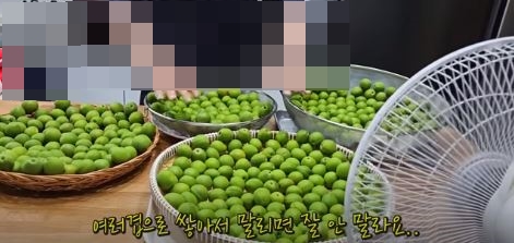 매실청 담그는법