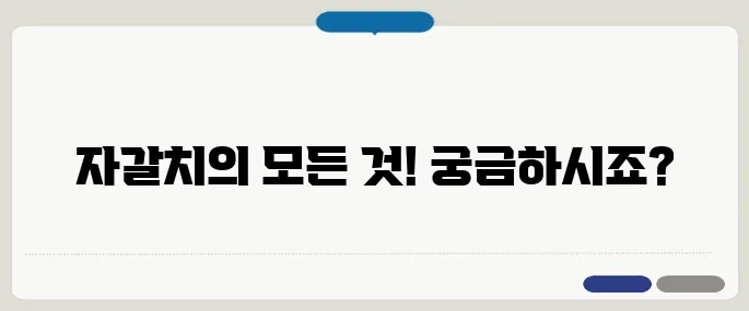 자갈치 축제 일정과 먹거리 라인업 총정리!