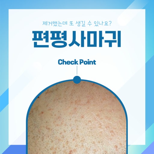 동탄 노블클래식