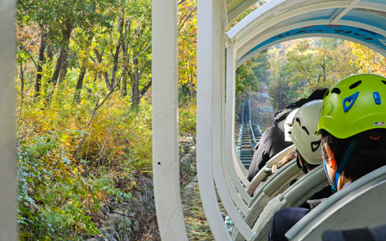 영천 보현산 짚라인
