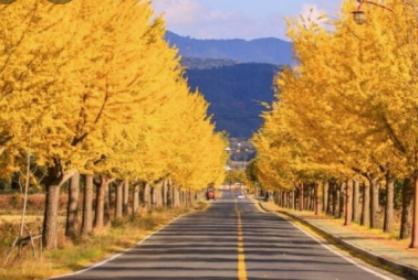 가을에 꼭 가봐야할 경주여행 BEST 5