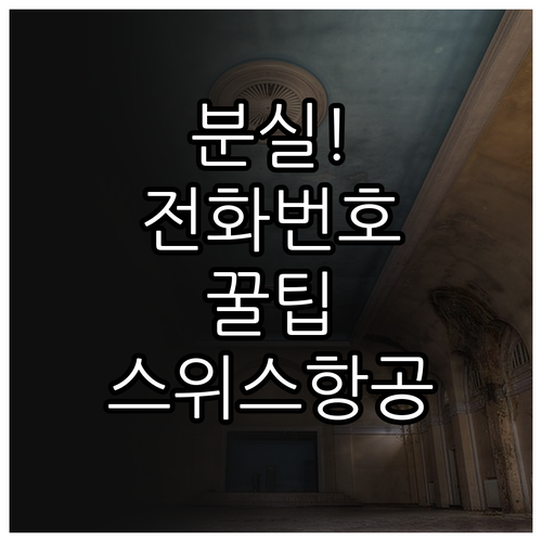 스위스 국제항공 수하물 분실 신고 전..