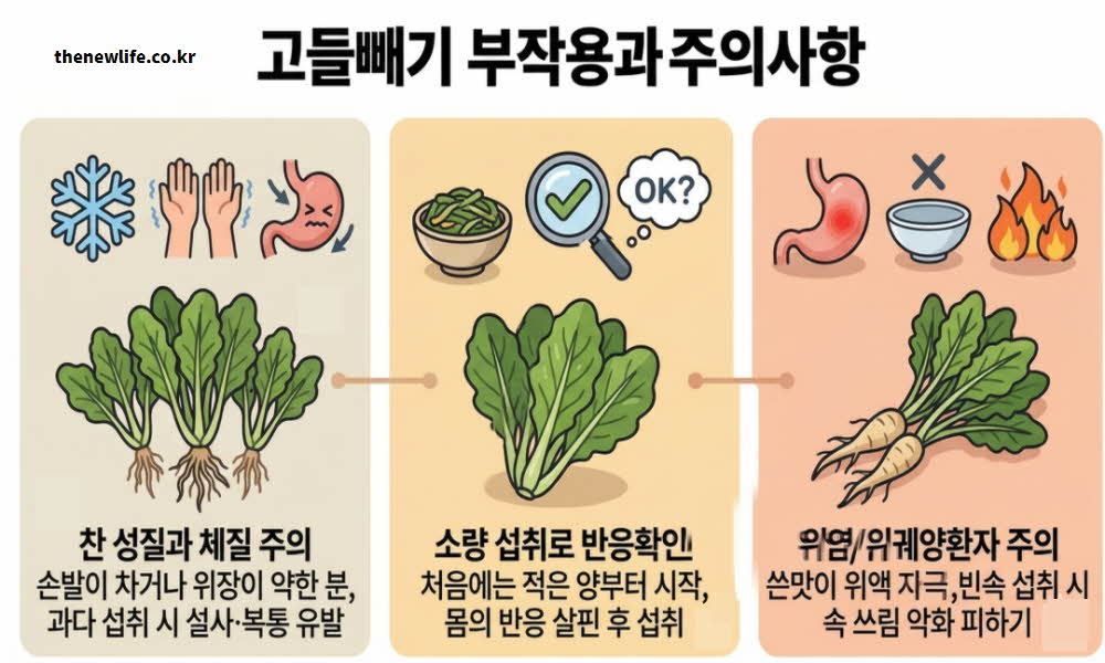 고들빼기 효능 부작용