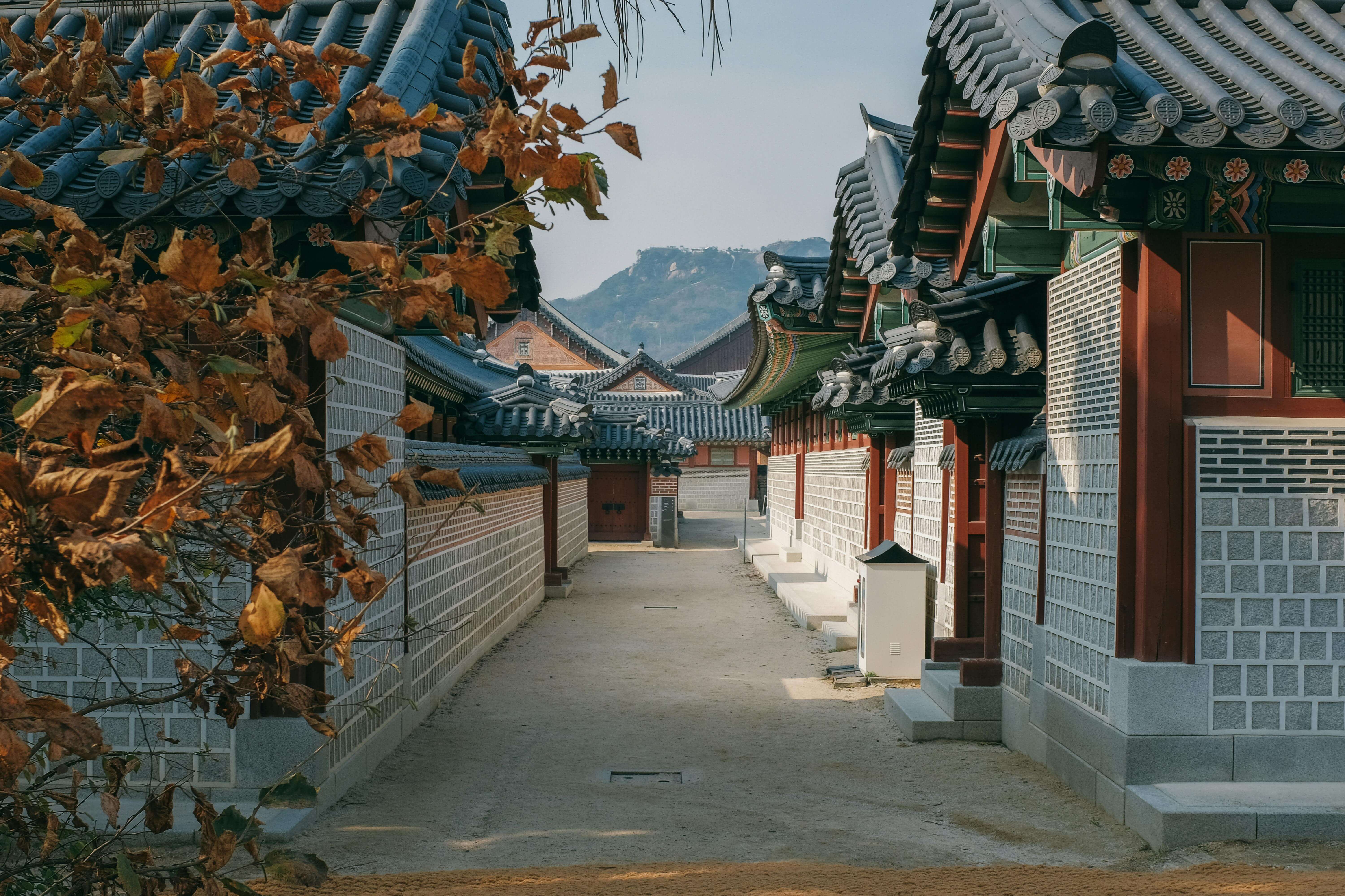 경복궁 별빛야행 예매