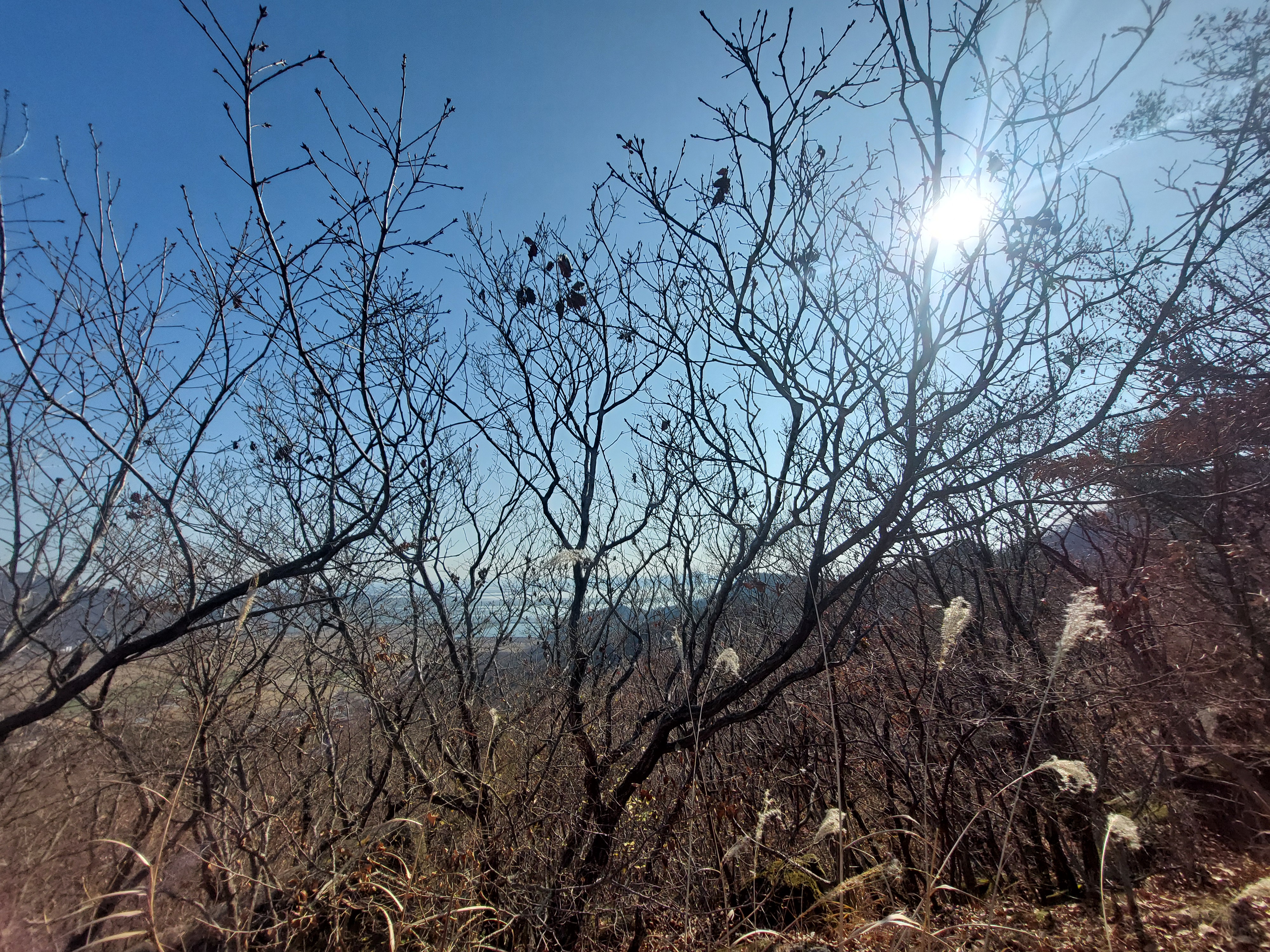마니산