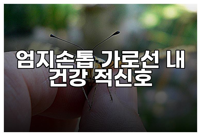 엄지손톱 가로선 내 건강 적신호