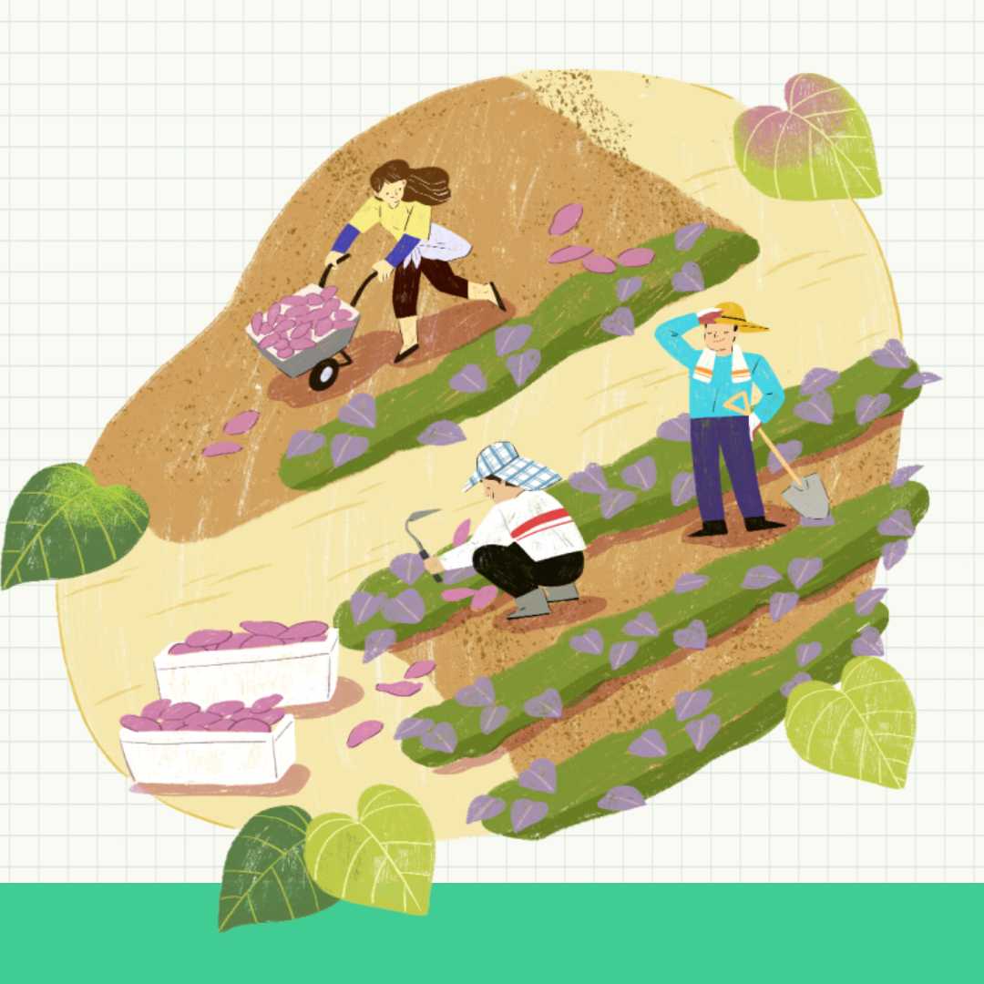 농어업인수당 신청