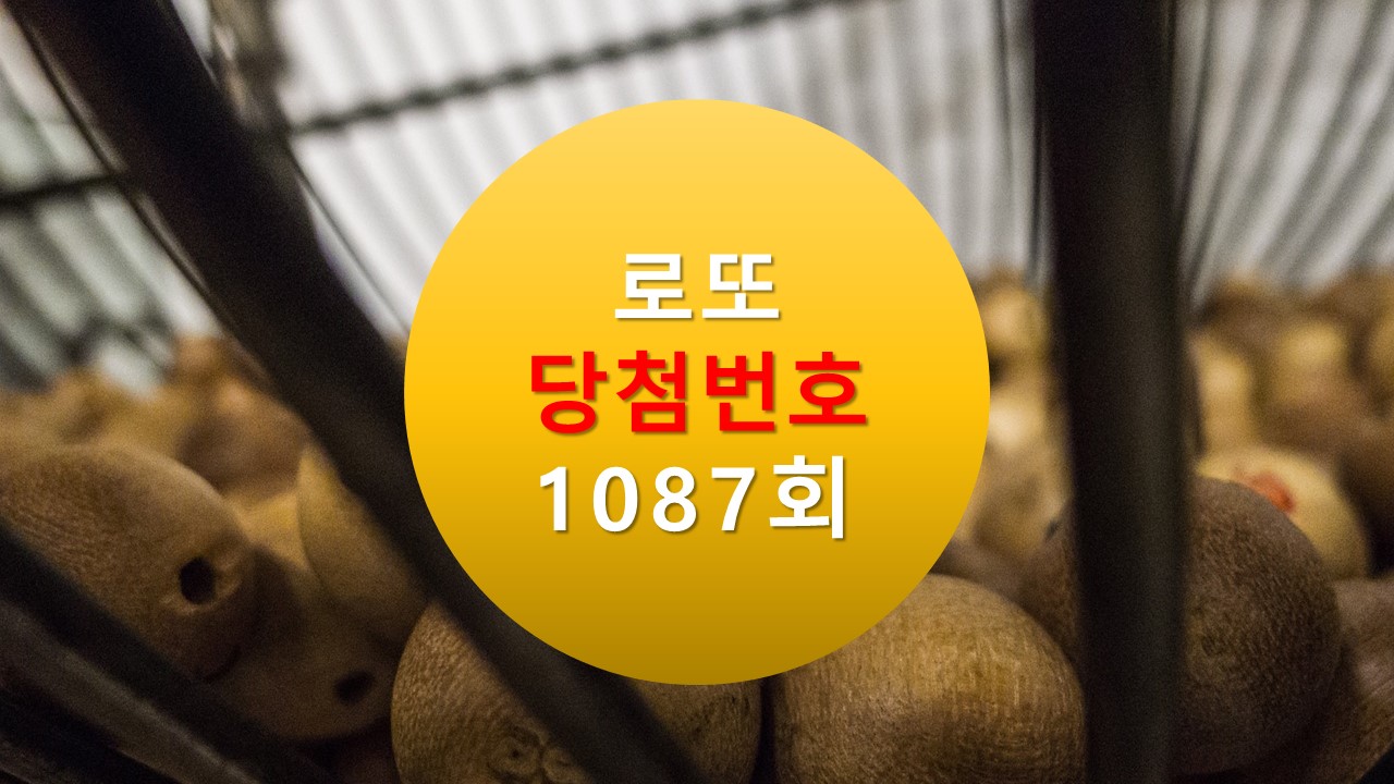 1087회 로또 당첨 번호 조회 1088회 번호추천(무료) 