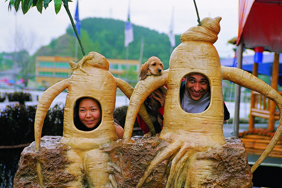 금산 인삼축제 주요 프로그램