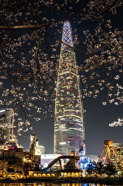  2025 벚꽃 개화 시기