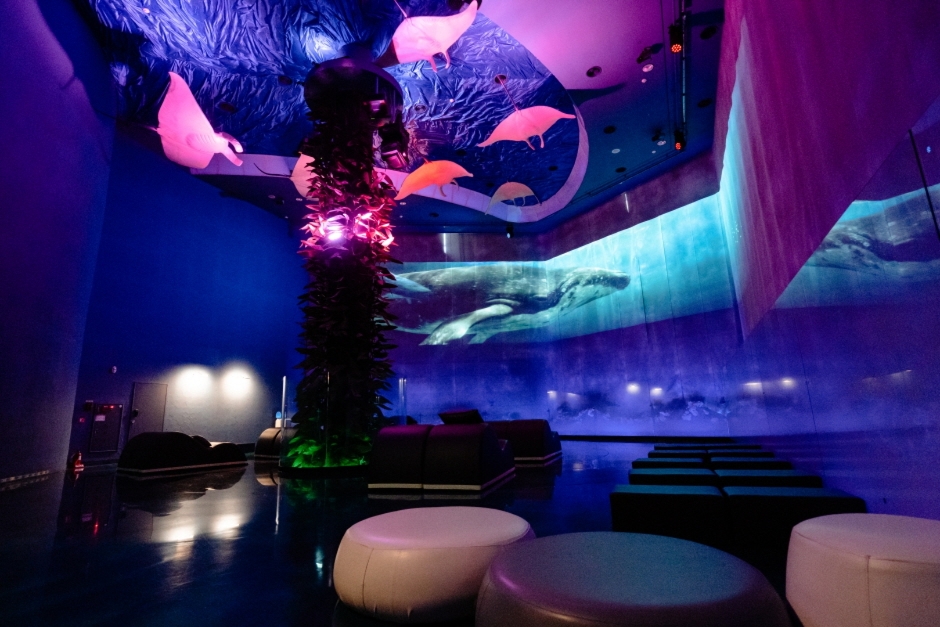 서천 가볼만한곳 베스트10