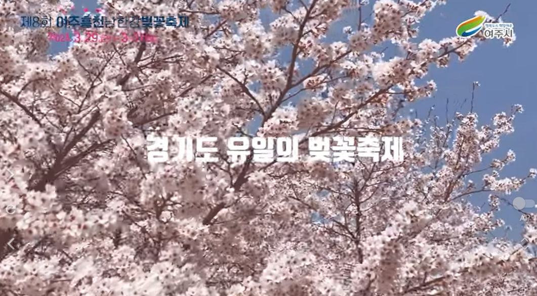 전국 벚꽃 봄꽃 축제 추천 Best 5