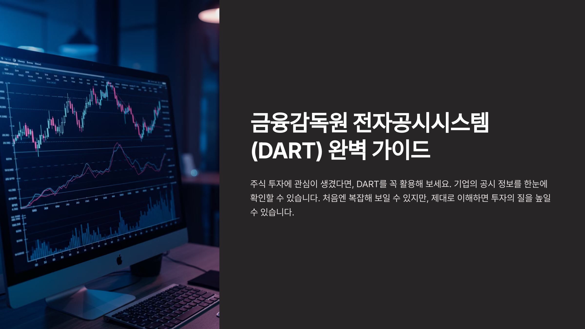 금융감독원 전자공시시스템(DART) 완벽 가이드