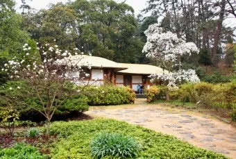 천리포 수목원 목련축제 입장료 여행코스_5