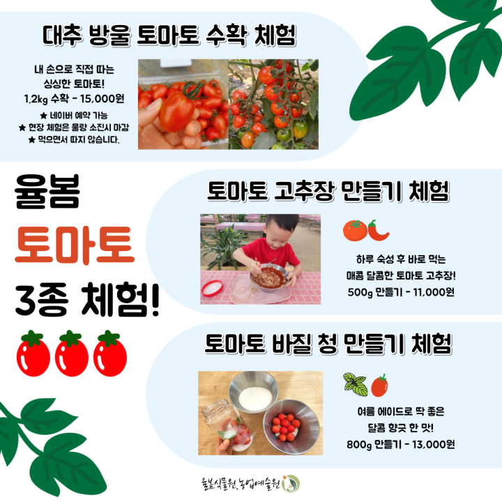 경기도축제행사