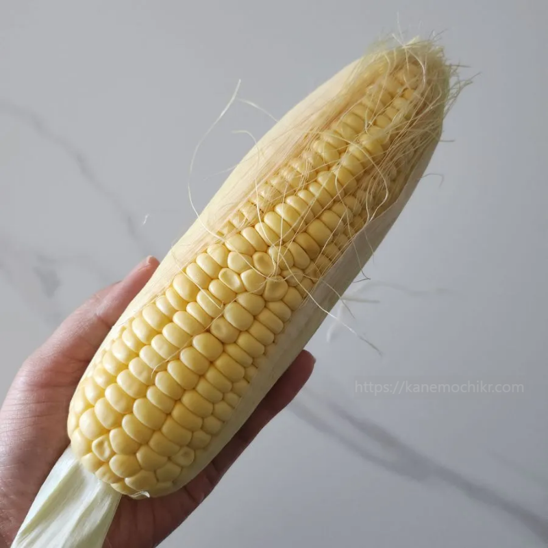 초당옥수수