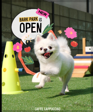 애견 동반 겨울 여행지