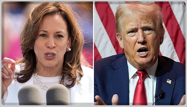 미국 대선 실시간 집계 현황&amp;#44; 미 대선 당선자