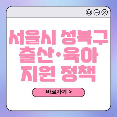 서울시 성북구 출산 육아 혜택