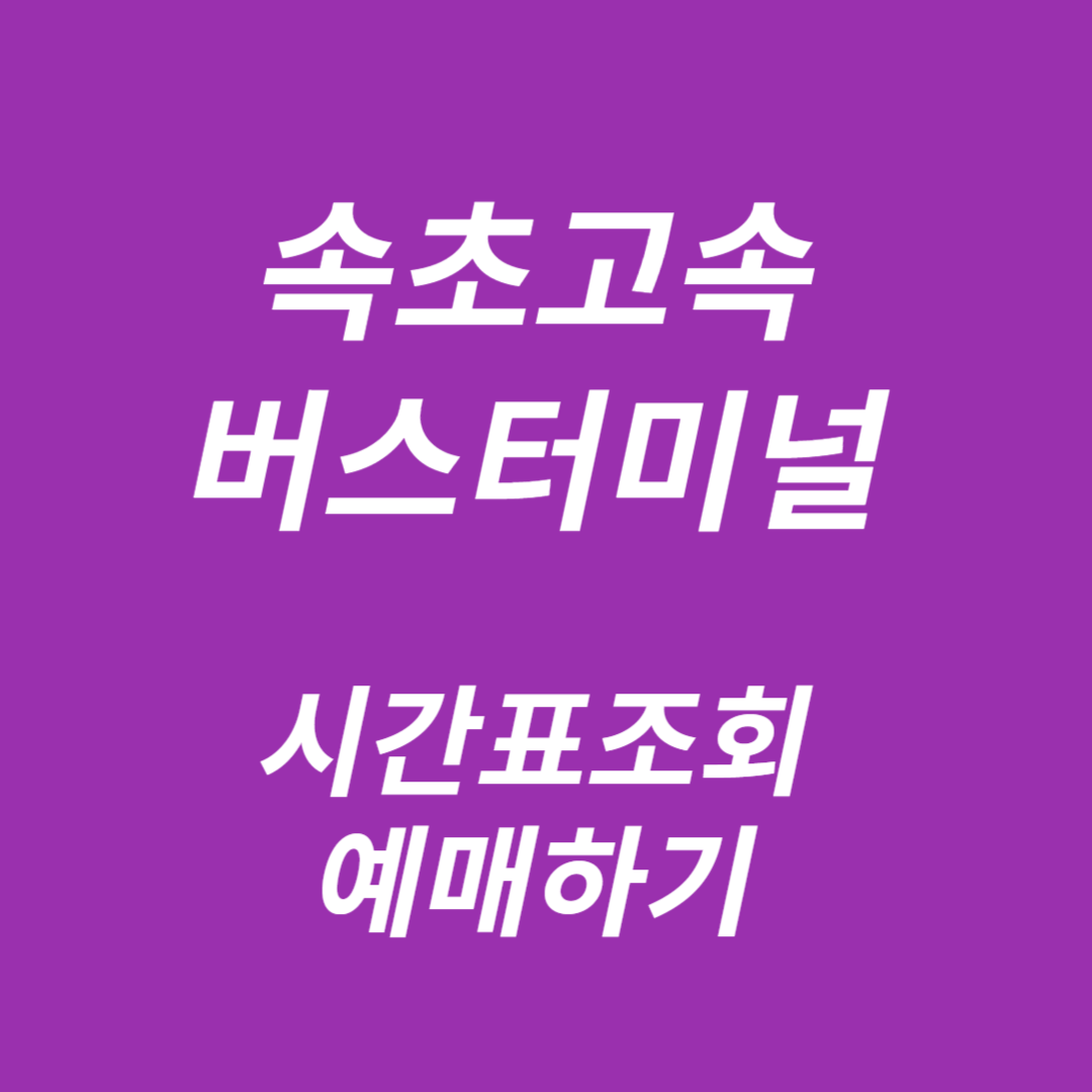 속초고속버스터미널 시간표조회,에매