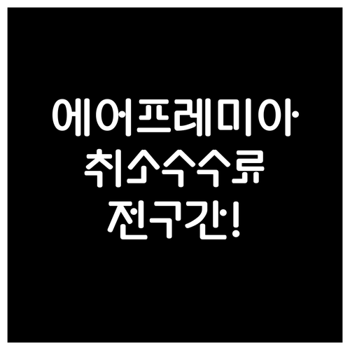 에어프레미아 취소 수수료 전 구간 정..