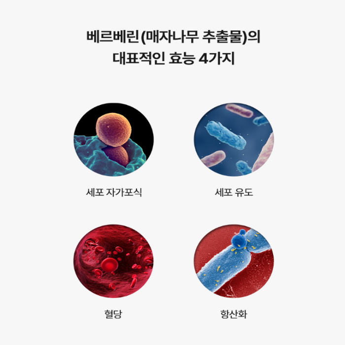 파라코펜 Paracopen 홈페이지 공식몰 약국 판매처 조회