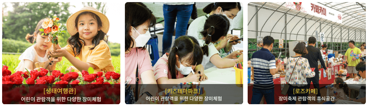 울산대공원 장미축제