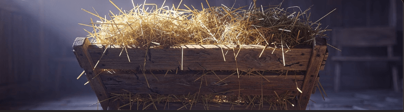 2025 성탄절 대표기도문 모음