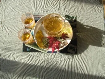 매실액기스 효능 해독 작용 숙취 건강 효과 정리_18