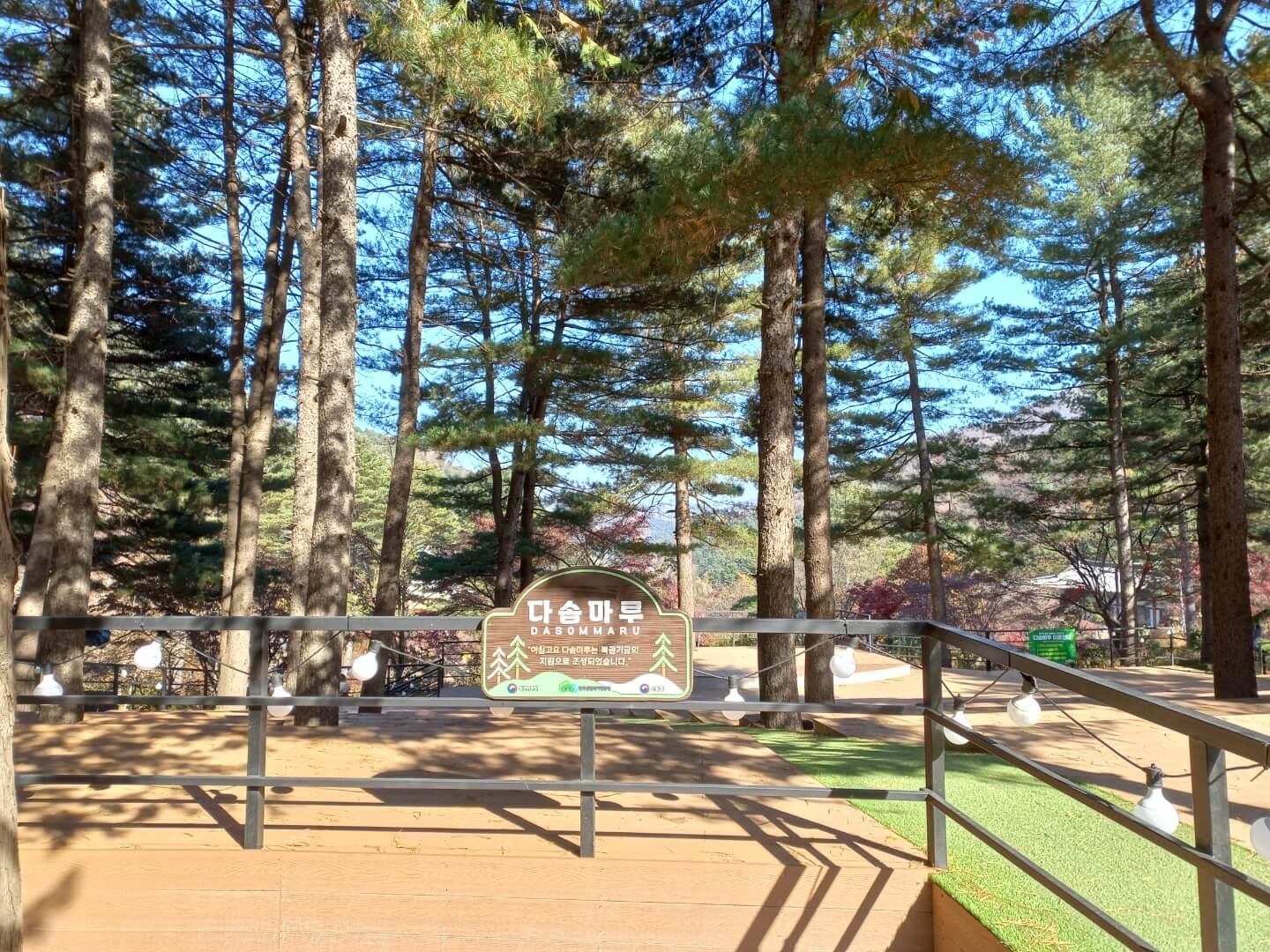 아침고요수목원 근처 가볼만한 곳