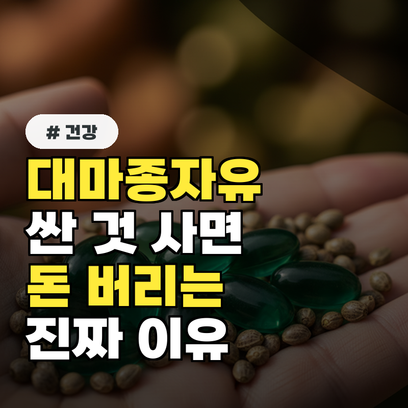 대마종자유 추천 제품, 무턱대고 싼 것 샀다간 돈만 버리는 진짜 이유