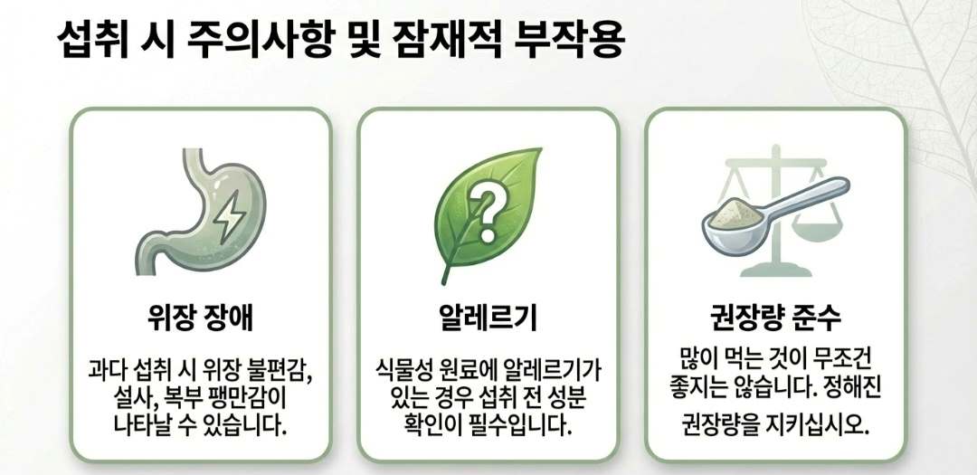 삼백초-사진3