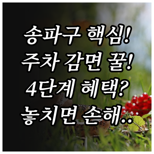 2025 송파구 주차요금 감면 4단계..