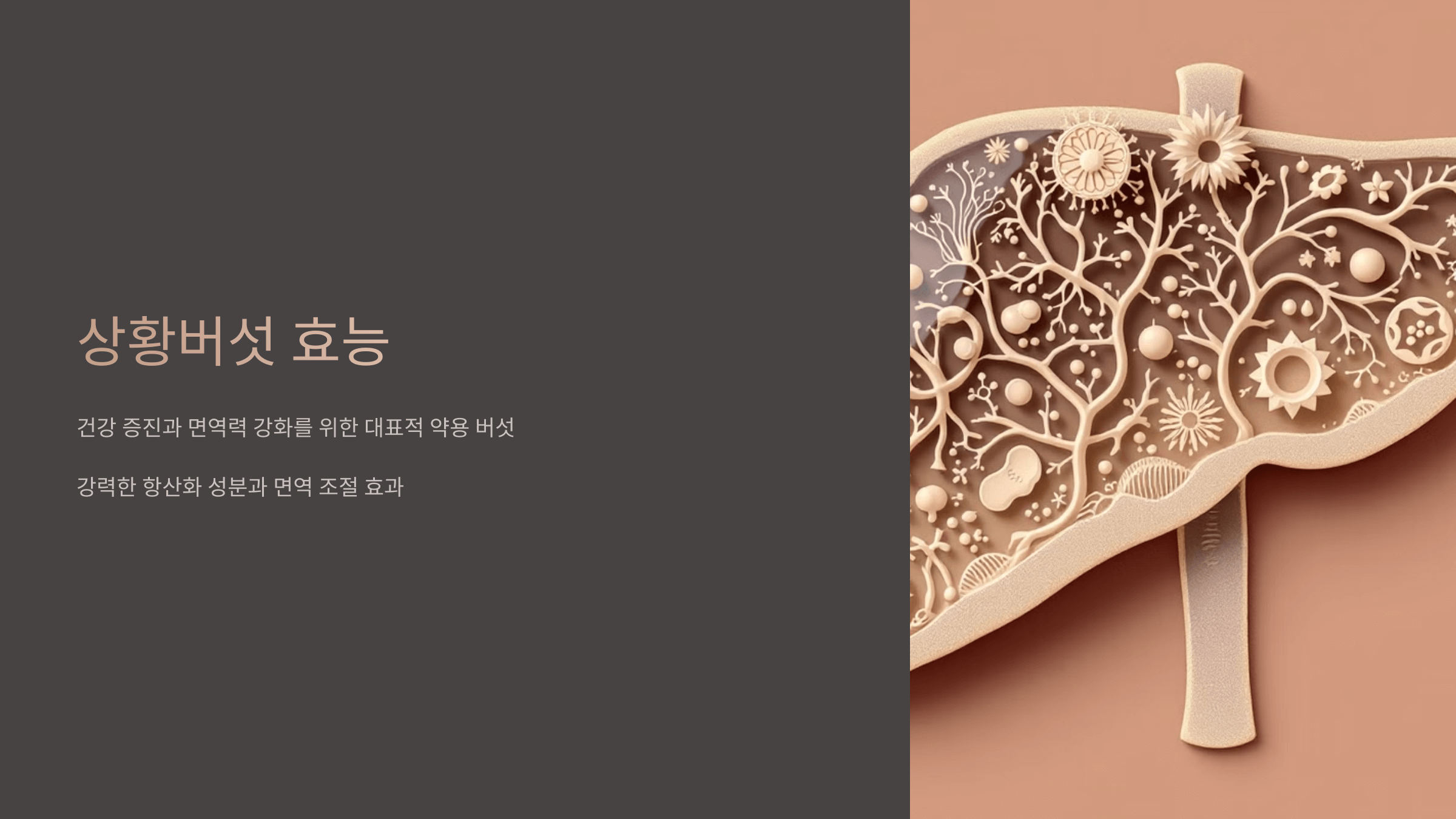 상황버섯과 관련된 사진입니다.