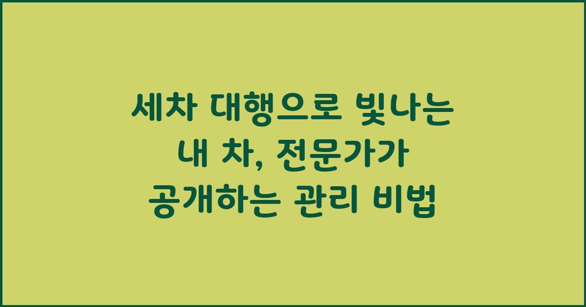 세차 대행으로 빛나는 내 차, 관리 비법