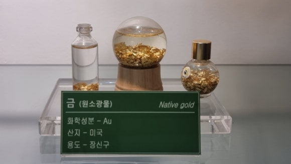 안 안면도 쥬라기 박물관9