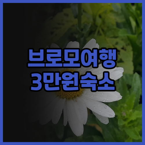 이스타나 브로모 리조트 솔직 후기 3..