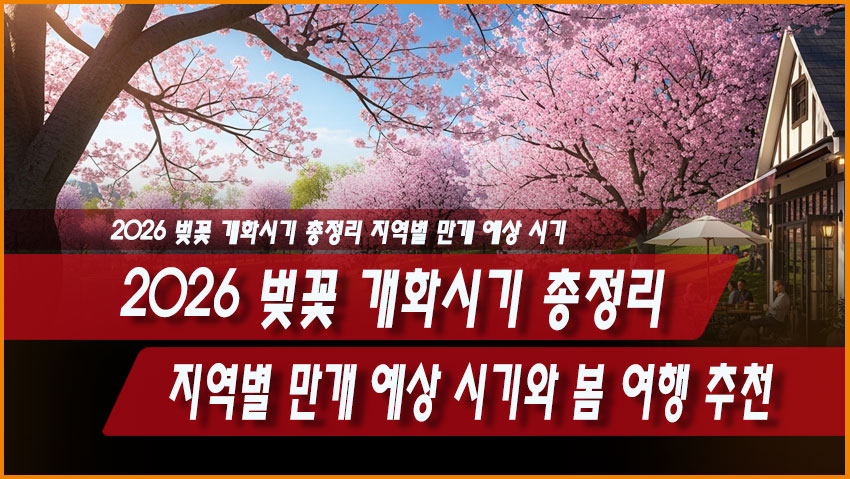 2026 벚꽃 개화시기 총정리, 지역별 만개 예상 시기와 봄 여행 추천