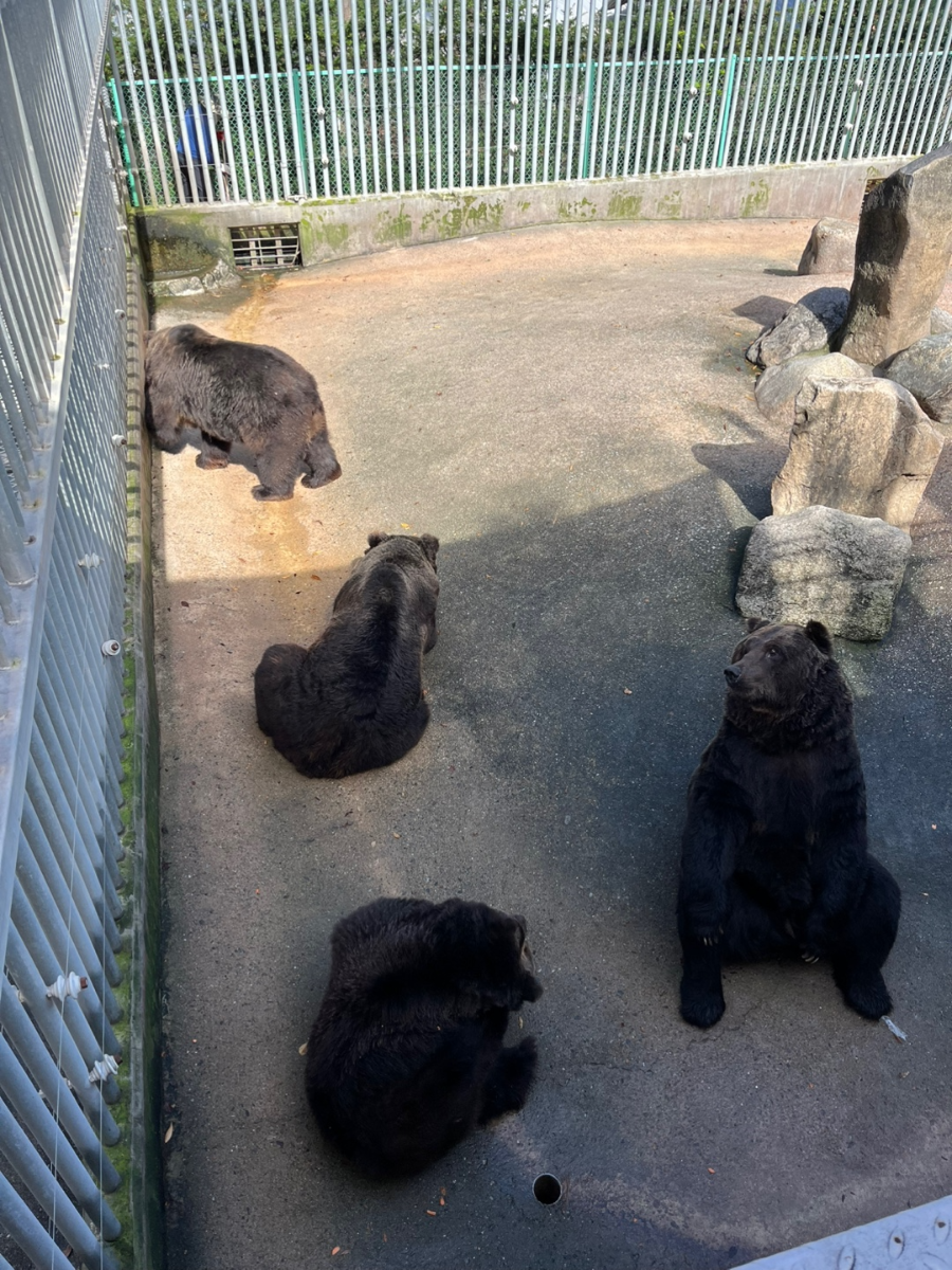 세종 베어트리파크