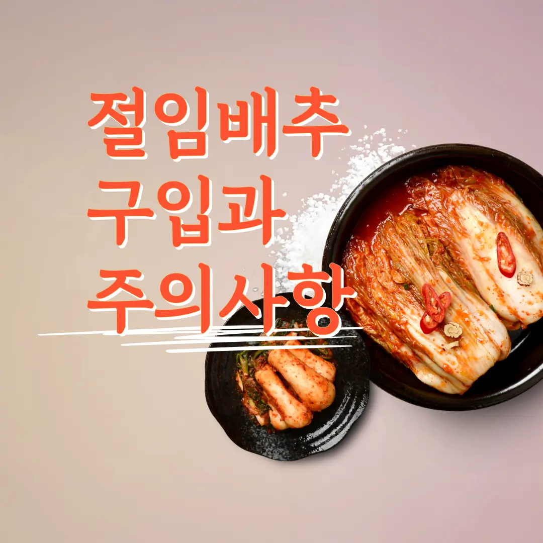 절임배추 구입과 주의사항