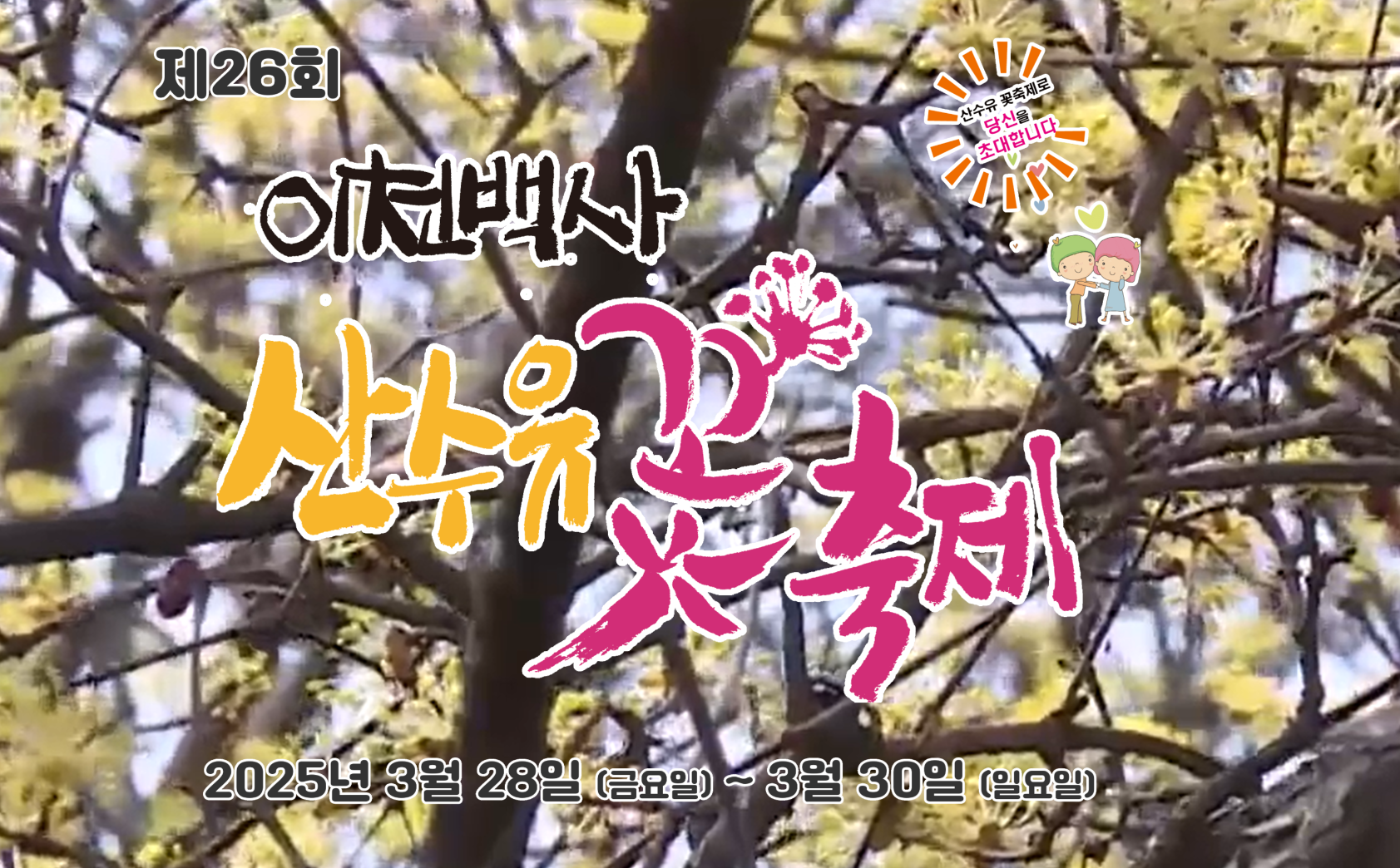 2025 이천백사 산수유꽃 축제 총정리