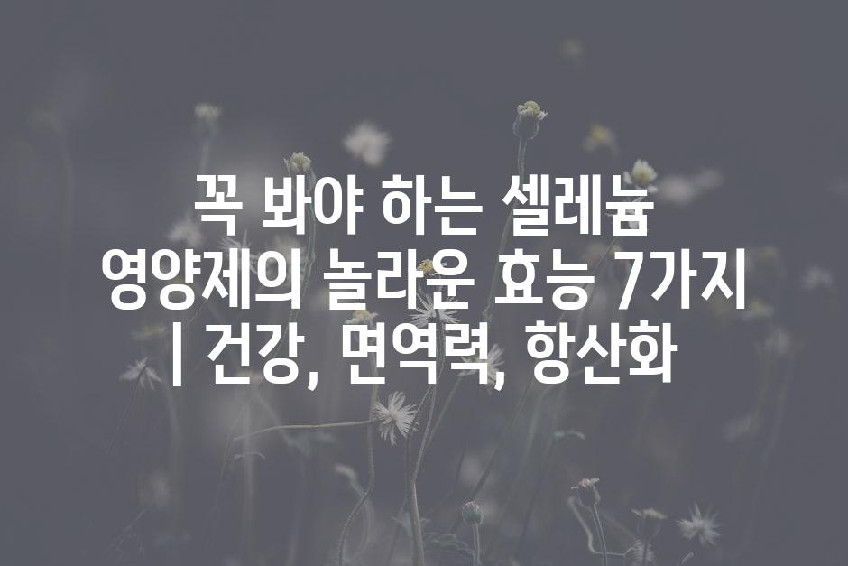 샘플 (46)
