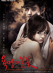 드라마 욕망의불꽃