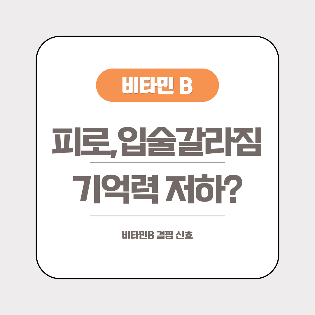 비타민B 결핍신호