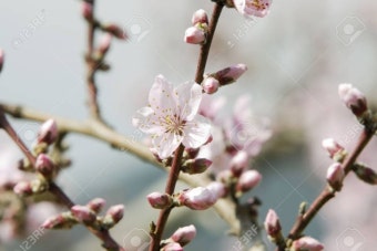 skt 가족결합할인