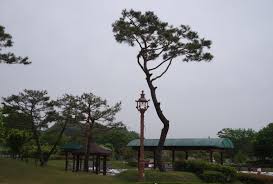 2024 제 39회 의견문화제와 함께하는 임실 N펫스타 기본일정과 특징 소개 이찬원 장민호 양지원 황윤성 오로라 송대관 출연