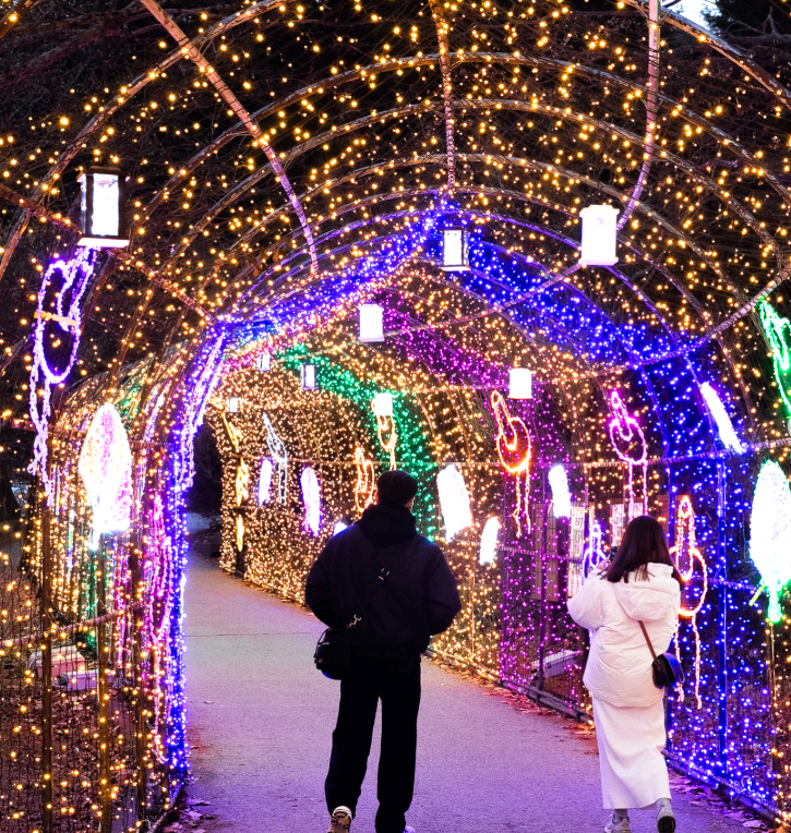 오색별빛정원전