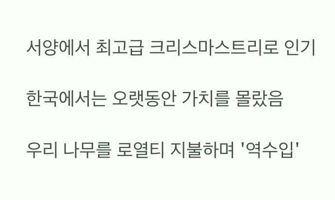 &amp;#39;코리안 퍼&amp;#39;라는 이름의 역설