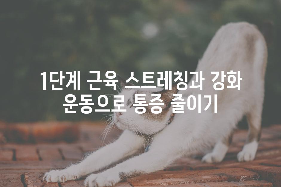 1단계 근육 스트레칭과 강화 운동으로 통증 줄이기